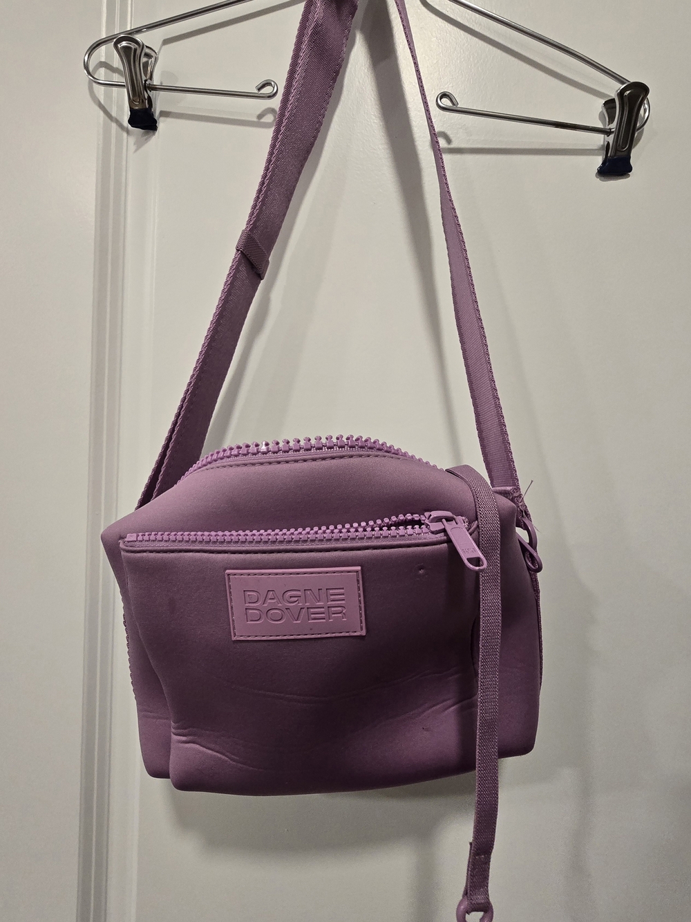 Dagne Dover Micah Lavender Crossbody Pouch